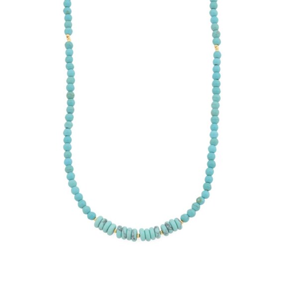DANNIJO Turquoise Turquoise Small Stone Beaded Necklace